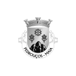 eventos-publico-junta-freguesia-pedrouços